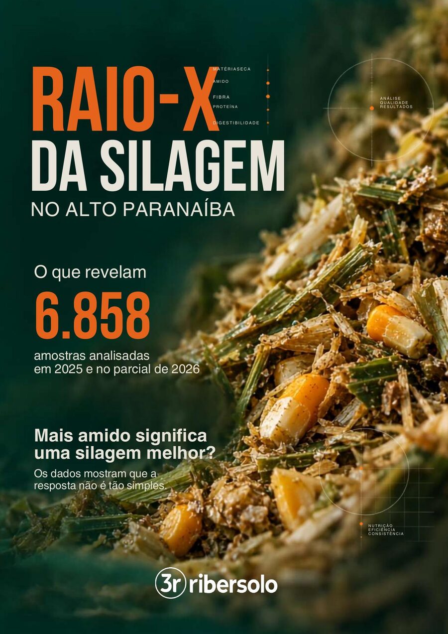Capa do e-book Raio-X da Silagem no Alto Paranaíba